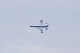 image0242