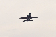image0245