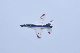 image0283