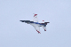 image0293