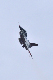 image0301