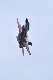 image0303