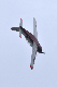 image0354