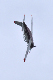 image0355