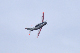 image0365