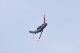 image0366