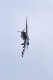 image0369