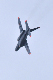 image0445