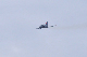 image0469