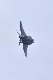 image0493