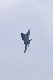 image0502