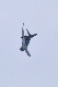 image0519