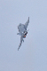 image0544