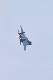image0619