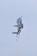 image0714