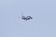 image0768