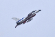 image0781