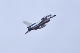 image0783