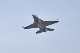 image0784
