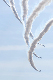 image0719
