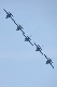 image0766