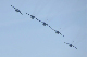 image0770