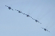 image0771