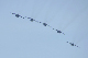image0772