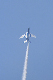 image0789