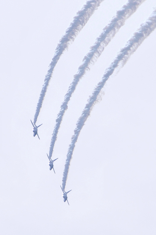 image0184