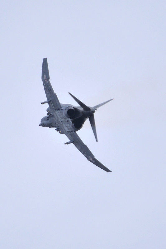 image0817