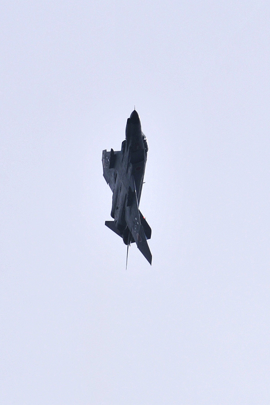 image0877
