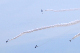 image0176