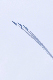 image0178
