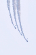 image0187