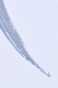 image0189