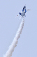 image0250