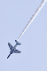 image0273