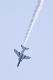 image0275