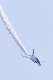 image0281