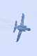 image0293