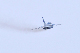image0295