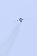 image0297