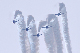image0298