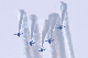 image0299