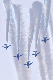 image0300