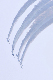 image0338