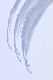 image0340