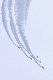 image0342