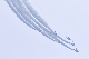 image0344
